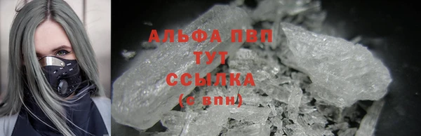 эйфоретик Беломорск