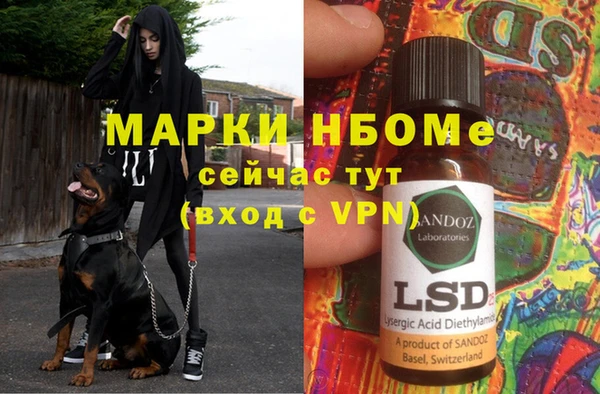 эйфоретик Беломорск