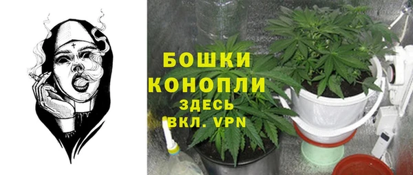 амфетамин Белокуриха